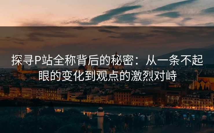 探寻P站全称背后的秘密：从一条不起眼的变化到观点的激烈对峙
