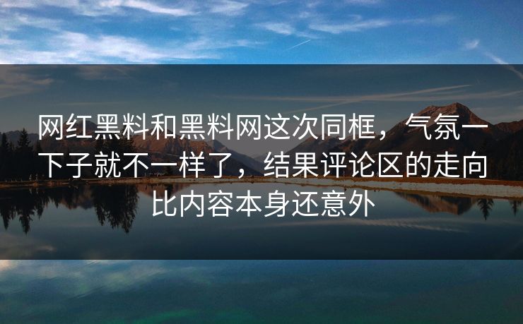 网红黑料和黑料网这次同框，气氛一下子就不一样了，结果评论区的走向比内容本身还意外