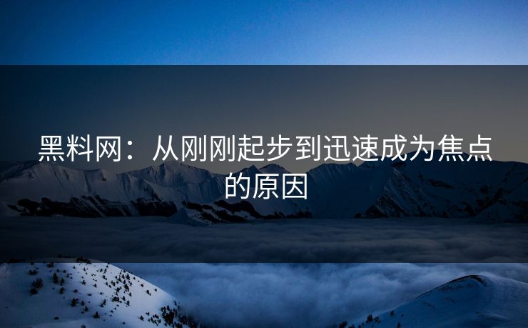 黑料网：从刚刚起步到迅速成为焦点的原因
