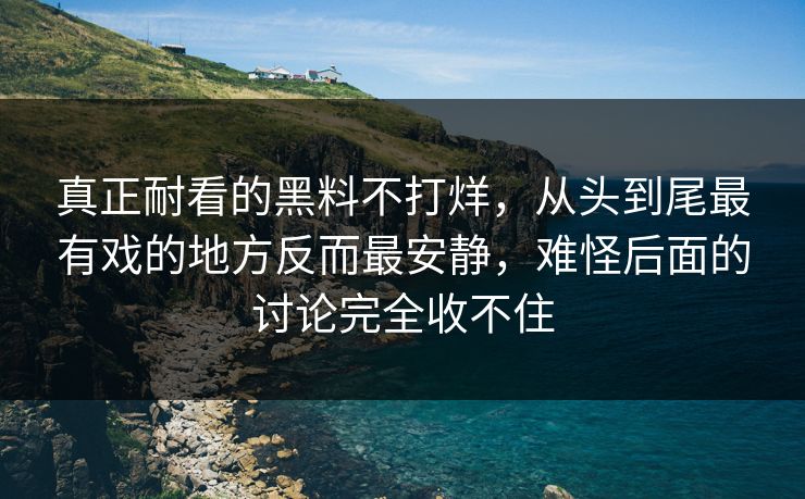 真正耐看的黑料不打烊，从头到尾最有戏的地方反而最安静，难怪后面的讨论完全收不住